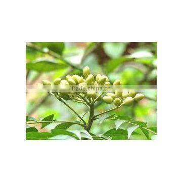 Neem Seed Oil photo-3
