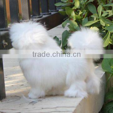 cheap soft toys, nodding dog toy accessories toys for children