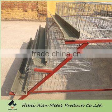 automatic system chicken breeding cage