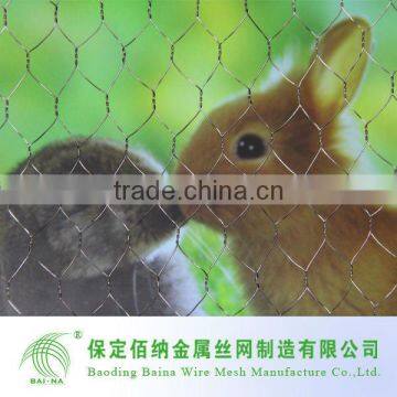 Hexagonal Hole Wire Mesh Mainly for Rabbit cages