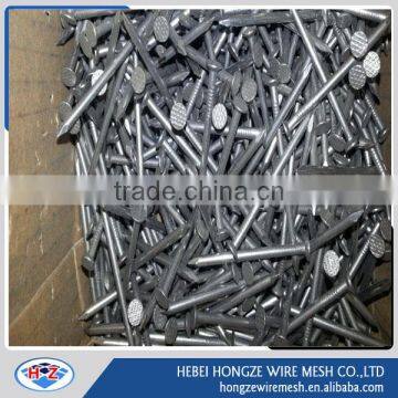 1-4 inches polish nails nail/common nail manufacturer in anping