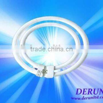 Circular Fluorescent Tube (2C)