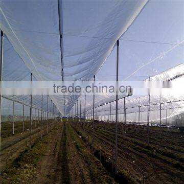 Customed Vineyard Anti Hail Net/Anti-hail Net photo-3