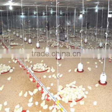China Steel Structure Chicken House photo-6