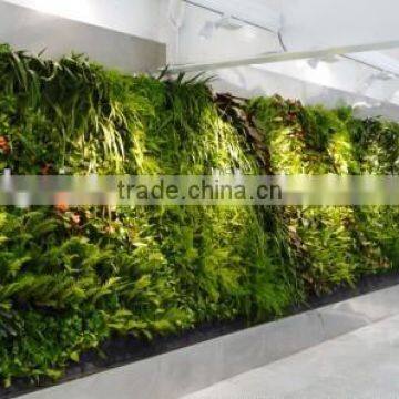 Factory Production Exhibition Wall Systems Newly Vertical Green Wall photo-3