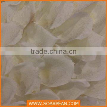 Exquisite Fiberglass Life-size Decorative Swan Statue photo-4