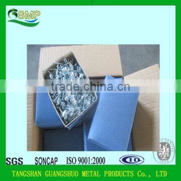 Umbrella head roofing nail/Galvanized roofing nails with washer