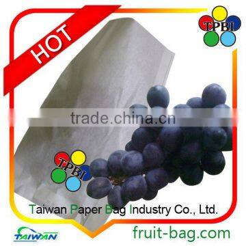 Grape Fruit Paper Protection Bag for Greenhouse Food Packaging