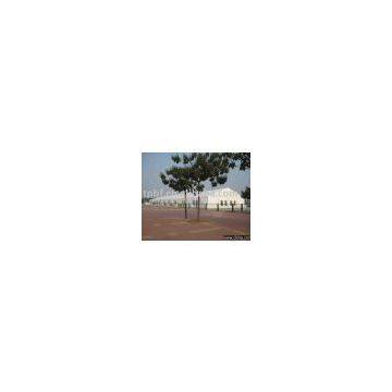 Workshop tent, 20x100m