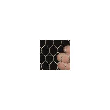 PVC Hexagonal Wire Mesh