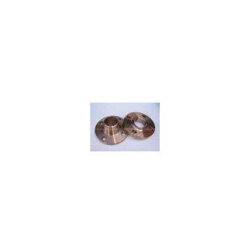 stainless Flange