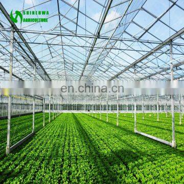 Greenhouse Glasshouse Supplier From China With High Quality