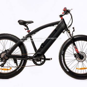 MS11 Mountain E-bike