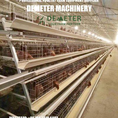 Poultry Farming Layer Chicken Cage