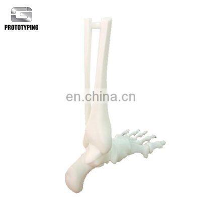 3d SLA SLS Artificial Skeleton Model Service photo-3