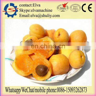 Hot Sale Almond Nut Shelling Machine Green Almond Peeling Machine photo-4
