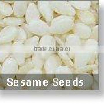 natural sesame seeds