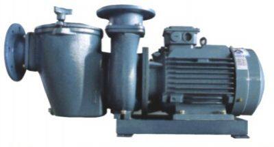 High Quality Massage Circulation Pump 1.5/2 Inches Connector Water Swimming Pool Pump photo-5