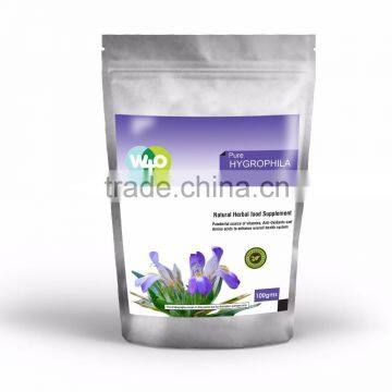 Premium Quality Hygrophila Auriculata Powder Supplier