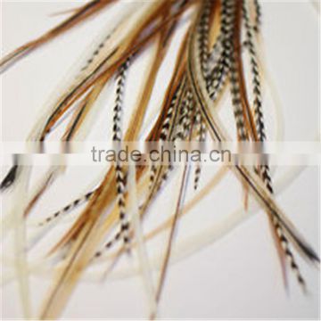 2014 New Arrival hot selling wholesale grizzly feather hair extensions