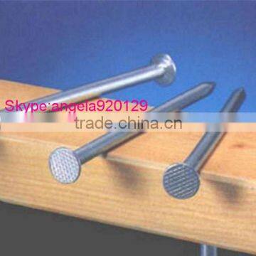 Common Nail Iron Nail Factory Common Wire Nail photo-1
