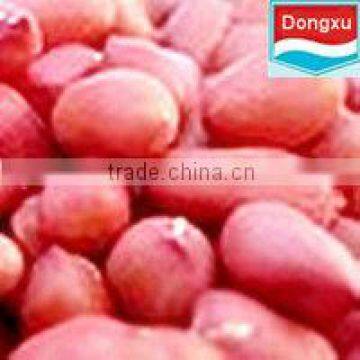 chinese peanut red skin