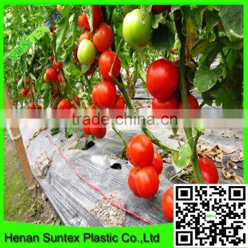 Heavy Duty Long-lasting Flexible Growing Tomatoes Support Net photo-2