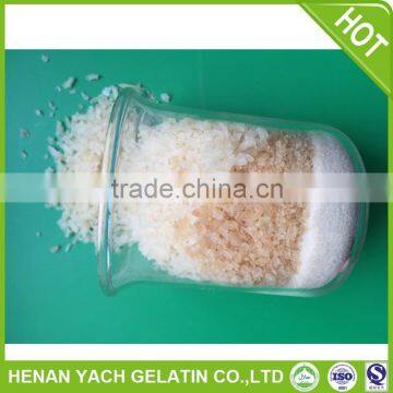 Hot selling sale gelatin powder with low price