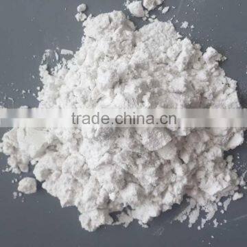 Diatomite filter aid for gelatin