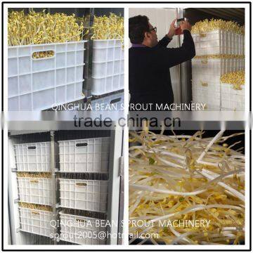 Professional Production of Bean Sprout Machinery Factory photo-5