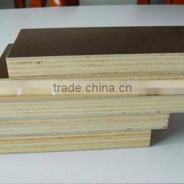 Film faced plywood for building construction/commercial plywood