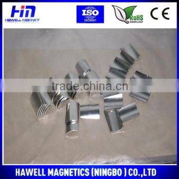 Moto for motor application and arc type magnet permanent magnet generator