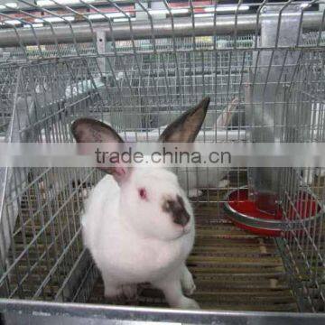 low price commercial farm equipment breeding rabbit farming cage