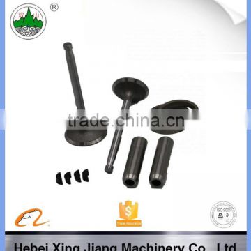 High quality Engine valve set for diesel engine