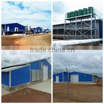 Turnkey project professional automatic poultry chicken farm house