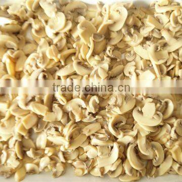 factory price canned mushroom with good quality