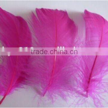 Natural Goose Feather Floating 10-15cm photo-5
