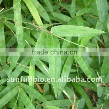 30% Flavonoids Bamboo Leaf Extract