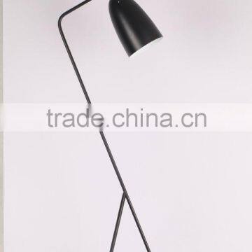 Manufacturer's Premium floor lamp ceiling lamp