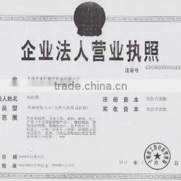 The Business License of Enterprise Legal Person