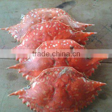 Dried Crab Shell - SHRIMP SHELL