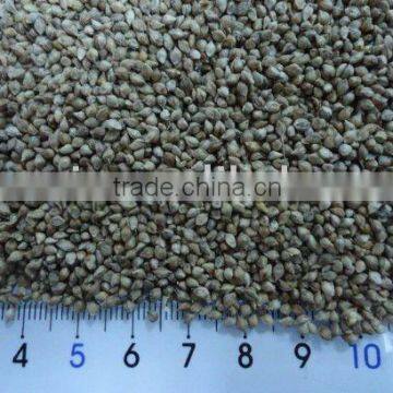 Tare Seeds