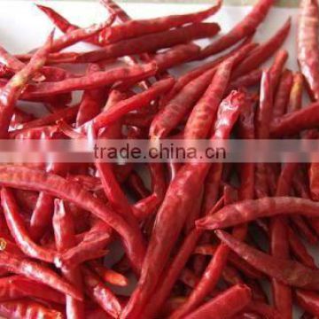 Red Chilli Dry (Capsicum frutescens)