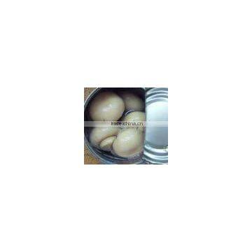 new crop canned mushrooms whole made in China