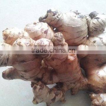 Fresh Ginger 100g-150g-200g-250g photo-2