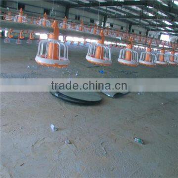 U-best automatic chicken equipment