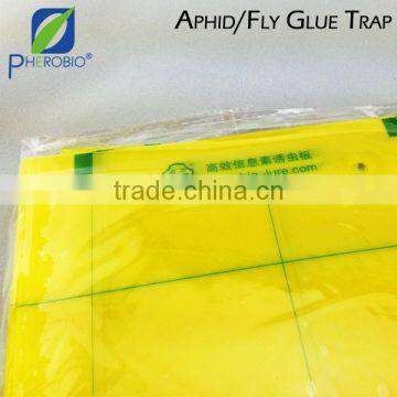 Insect Glue Trap (With Pheromone Coating)