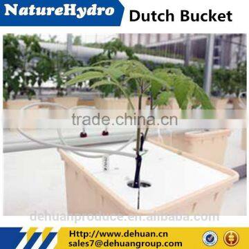 Industrial Greenhouse Hydroponics Systems Complete