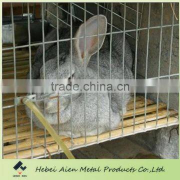 commercial meat rabbit cage