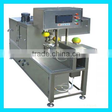 stainless steel apple peeling machine